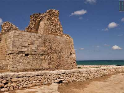 L�ultima torre ancora esistente in terra di Bari si trova a Capitolo, frazione  sud di Monopoli. E� Torre Cintola, in realt� parzialmente distrutta ma non per questo priva di fascino. Il lato che si affaccia sulla costa � quello meglio conservato e ci permette comunque di immaginare la semplice ma imponente struttura originaria, gli altri lati invece sono quasi del tutto crollati